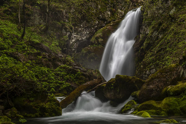 Pesio valley (Valle Pesio),Cuneo province,Marguareis park,Piedmont, Italy,Europe. Gias Fontana waterfall 