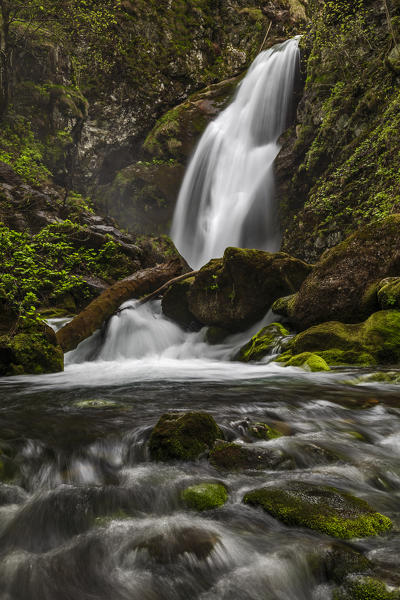 Pesio valley (Valle Pesio),Cuneo province,Marguareis park,Piedmont, Italy,Europe.  Gias Fontana waterfall 