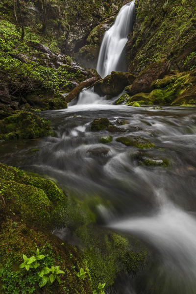 Pesio valley (Valle Pesio),Cuneo province,Marguareis park,Piedmont, Italy,Europe. Gias Fontana waterfall 

