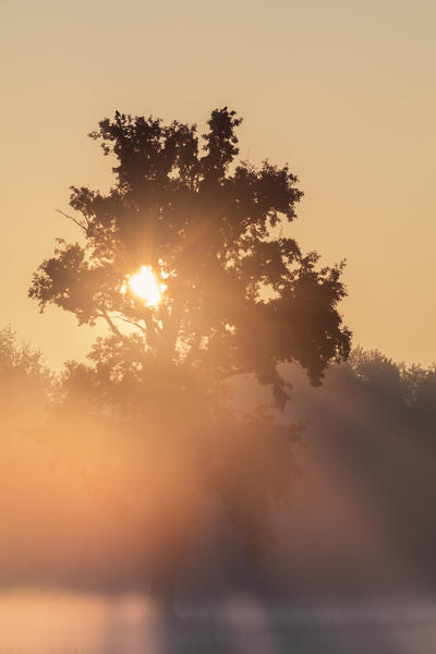 Turin province, Piedmont,Italy, Europe. Magic sunrise in the Piedmont plain