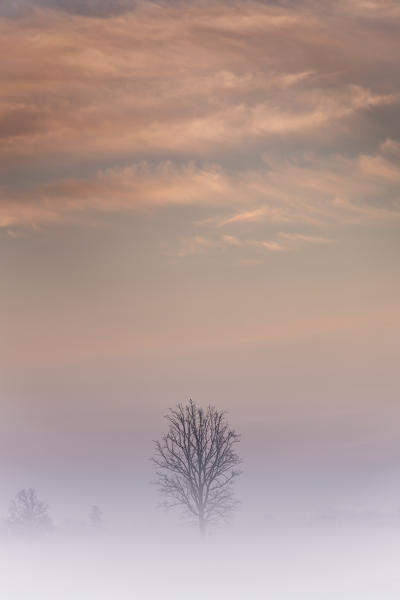 Turin province, Piedmont,Italy, Europe. Magic sunrise in the Piedmont plain