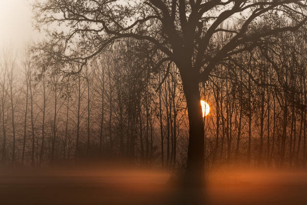 Turin province, Piedmont,Italy, Europe. Magic sunrise in the Piedmont plain