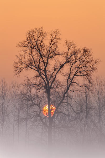 Turin province, Piedmont,Italy, Europe. Magic sunrise in the Piedmont plain