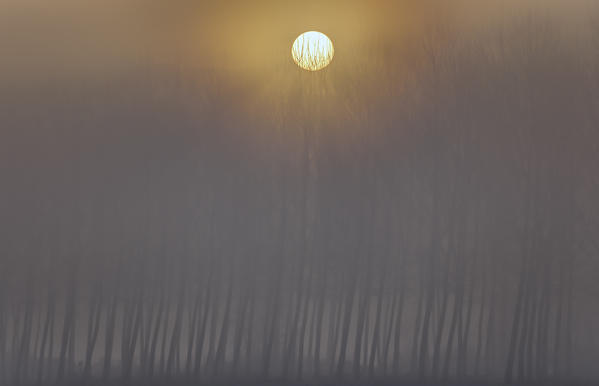 Turin province, Piedmont,Italy, Europe. Magic sunrise in the Piedmont plain