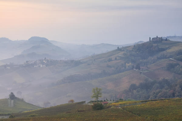 Langhe, Cuneo district, Piedmont, Italy. Barolo wine region