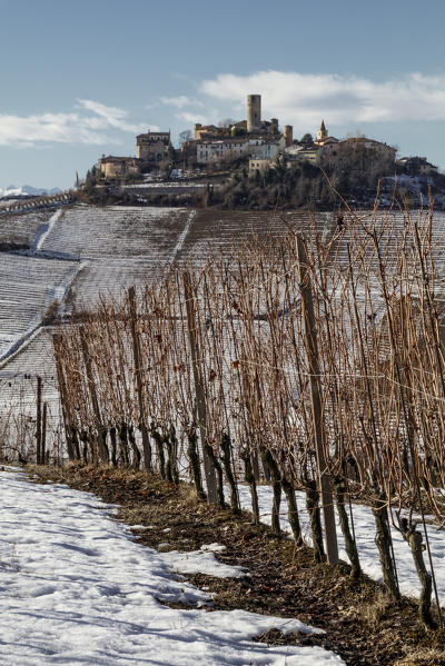 Langhe, Cuneo district, Piedmont, Italy. Barolo wine region,Castiglione Falletto castle
