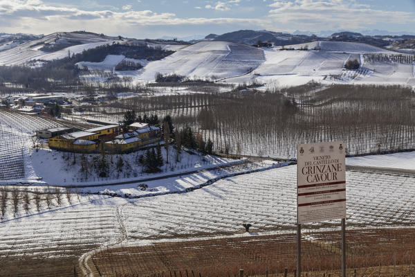 Langhe, Cuneo district, Piedmont, Italy. Barolo wine region