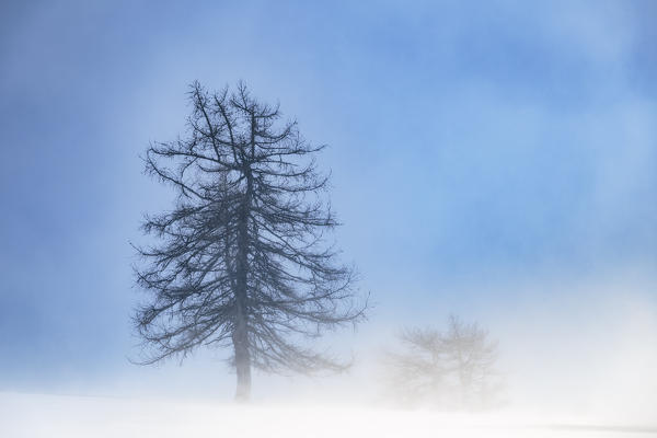 Orsiera Rocciavre Park, Chisone Valley,Turin, Piedmont, Italy. Winter Orsiera Rocciavre Park 
