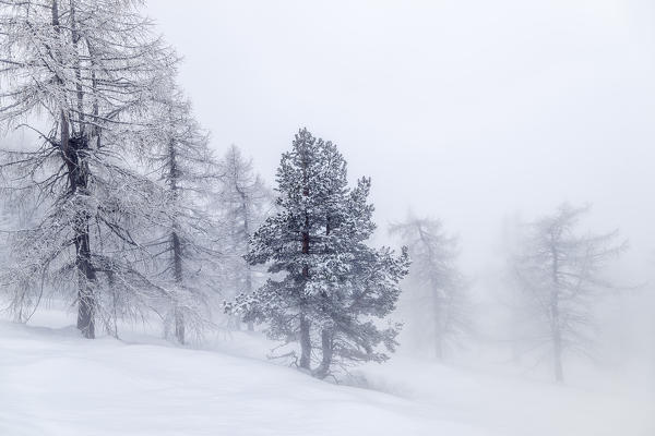 Orsiera Rocciavre Park, Chisone Valley,Turin, Piedmont, Italy. Winter Orsiera Rocciavre Park 
