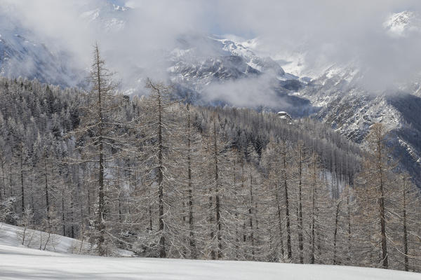 
Orsiera Rocciavre Park, Chisone Valley,Turin, Piedmont, Italy. Winter Orsiera Rocciavre Park 