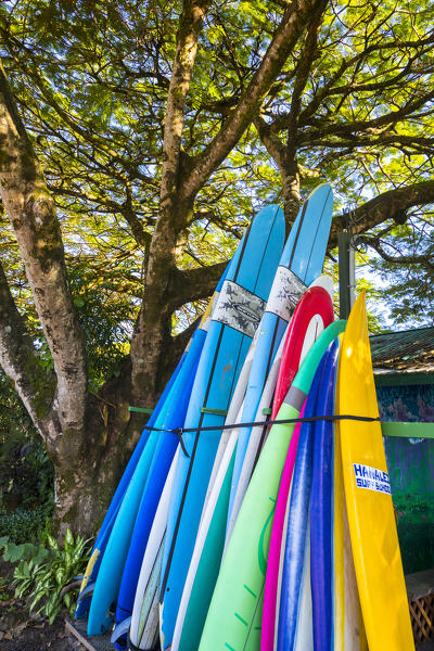Colorful surfboards, Hanalei village, Kauai Island, Hawaii, USA