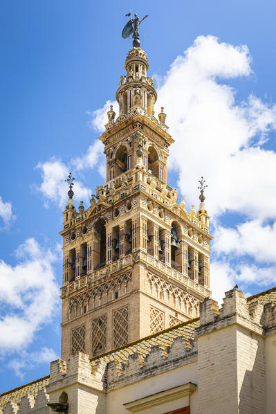 Seville cathedral - Giralda tower. Seville, Andalucia, Spain 