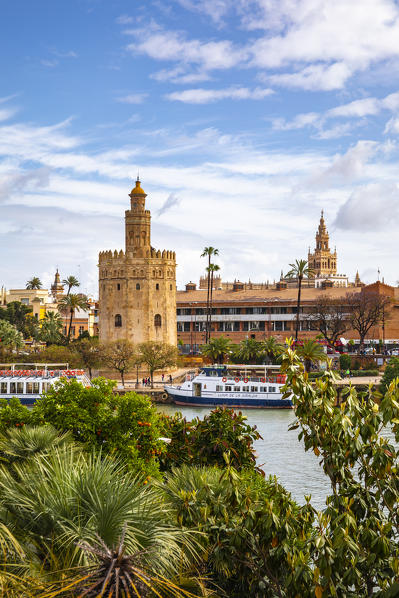 Torre del oro, Seville, Andalucia, Spain