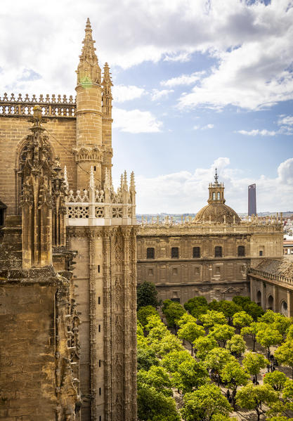 A high view of Seville Cathedral's Patio de los Naranjos, from Giralda Tower. Seville Cathedral, Seville, Andalucia, Spain