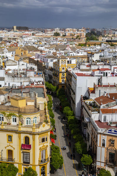 A high view of Seville, from Giralda Tower. Seville Cathedral, Seville, Andalucia, Spain