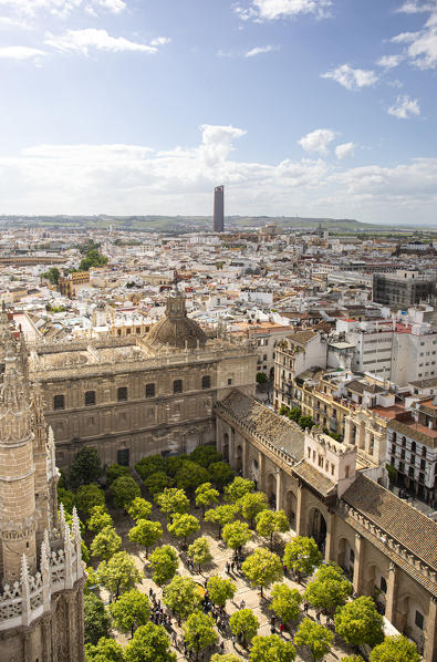 A high view of Seville Cathedral's Patio de los Naranjos, from Giralda Tower. Seville Cathedral, Seville, Andalucia, Spain