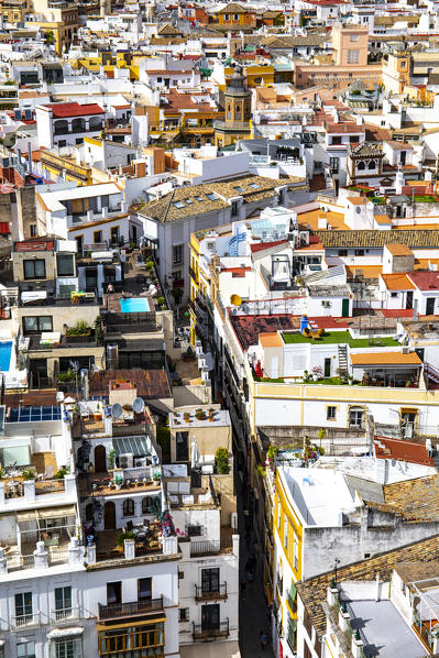 A high view of Seville streets and palaces, from Giralda Tower. Seville Cathedral, Seville, Andalucia, Spain