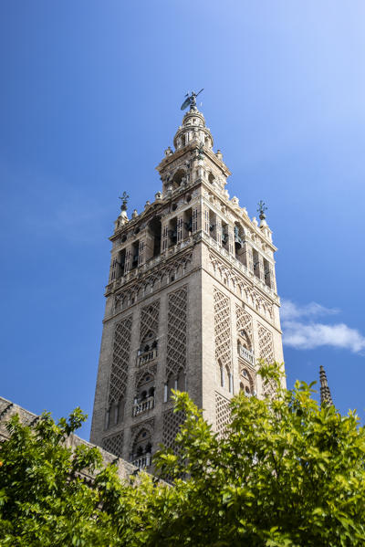 Seville cathedral - Giralda Tower. Seville, Andalucia, Spain