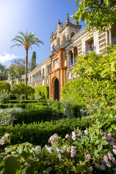 Real Alcazar gardens. Seville, Andalucia, Spain
