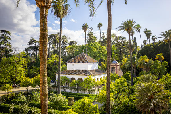 Real Alcazar gardens. Seville, Andalucia, Spain