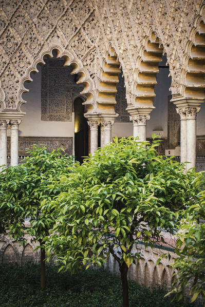 Real Alcazar interiors with orange trees. Seville, Andalucia, Spain