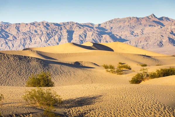Mesquite flat sand dunes, Death Valley National Park, California, USA