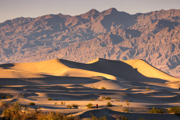 Mesquite flat sand dunes, Death Valley National Park, California, USA