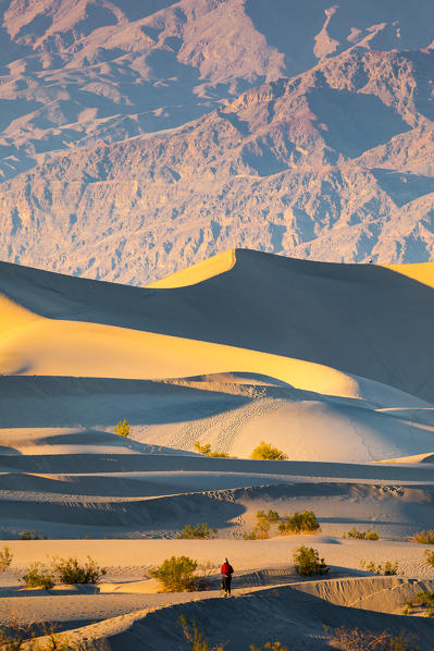 Mesquite flat sand dunes, Death Valley National Park, California, USA