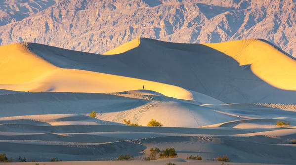 Mesquite flat sand dunes, Death Valley National Park, California, USA