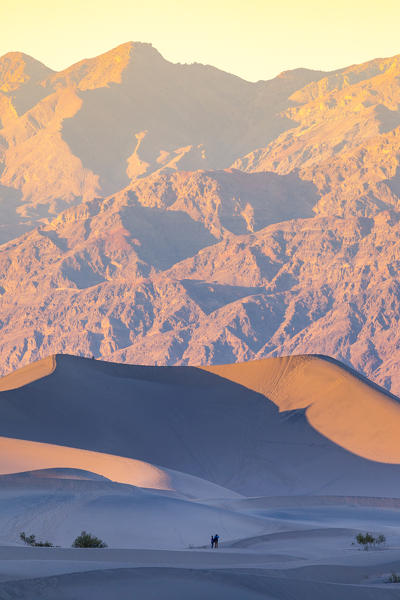 Mesquite flat sand dunes, Death Valley National Park, California, USA