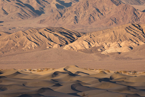 Mesquite flat sand dunes, Death Valley National Park, California, USA