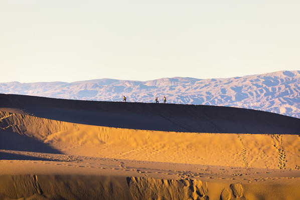 Mesquite flat sand dunes, Death Valley National Park, California, USA