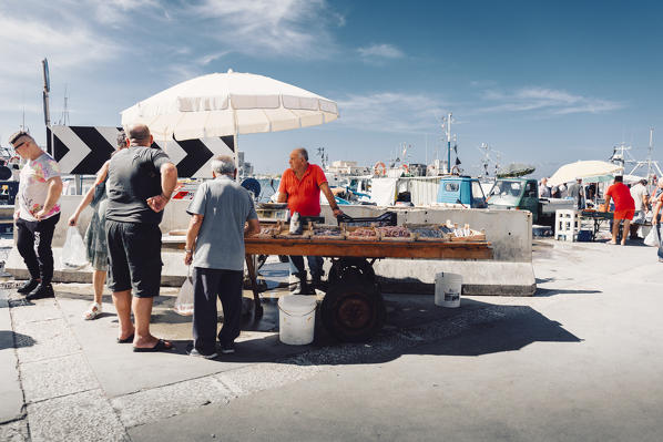 Mazara del VAllo fishing harbour, Mazara del Vallo, Sicily, Italy