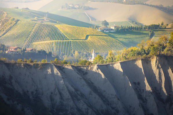 Vineyards over Tiola's Calanchi, Valsamoggia district, Bologna province, Italy