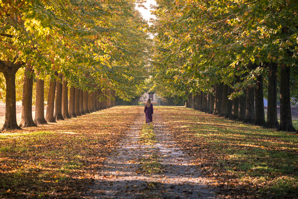 A girl walking through a tree-lined avenue in Bologna's countryside, near Bazzano village. Bologna Province, Italy.