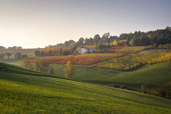 Levizzano Rangone scenery with vineyards, Levizzano Rangone, Castelvetro di Modena district, Modena province, Emilia Romagna, Italy.