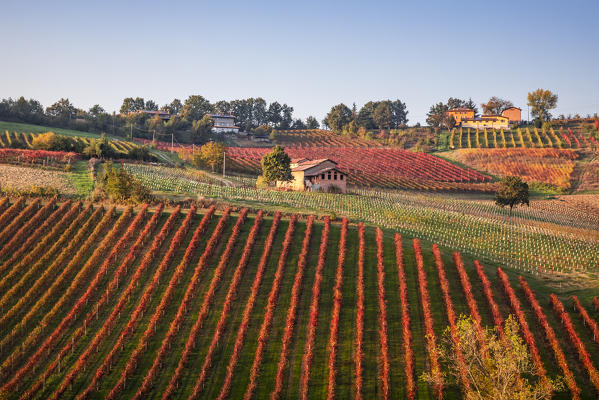 Levizzano Rangone scenery with vineyards, Levizzano Rangone, Castelvetro di Modena district, Modena province, Emilia Romagna, Italy.