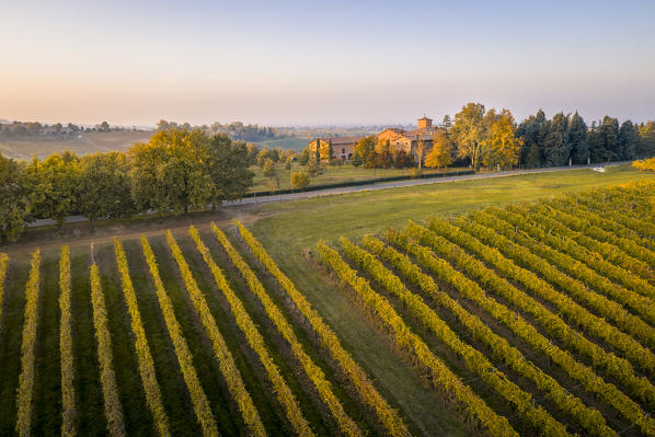Levizzano Rangone scenery with vineyards, Levizzano Rangone, Castelvetro di Modena district, Modena province, Emilia Romagna, Italy.