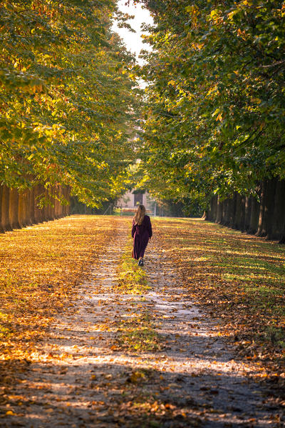 A girl walking through a tree-lined avenue in Bologna's countryside, near Bazzano village. Bologna Province, Italy.