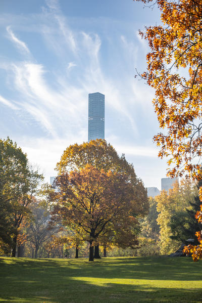 Central Park during autumn, Manhattan, New York, Usa