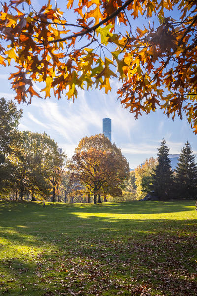 Central Park during autumn, Manhattan, New York, Usa