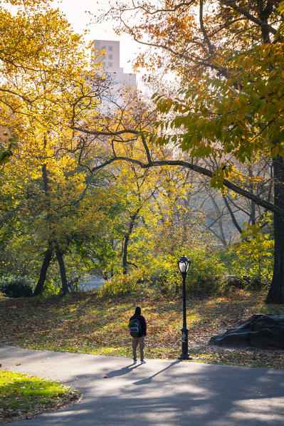 Central Park during autumn, Manhattan, New York, Usa