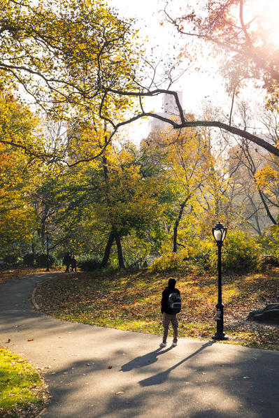 Central Park during autumn, Manhattan, New York, Usa