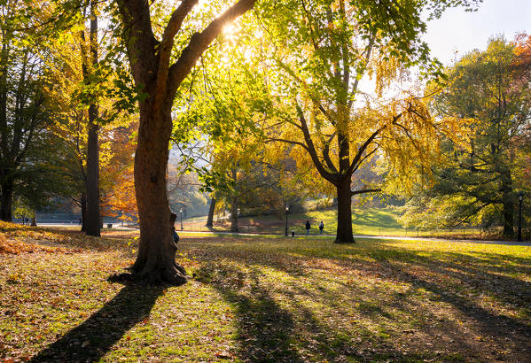 Central Park during autumn, Manhattan, New York, Usa