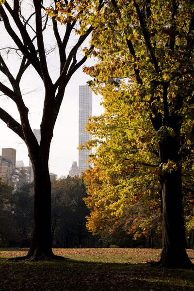 Central Park during autumn, Manhattan, New York, Usa