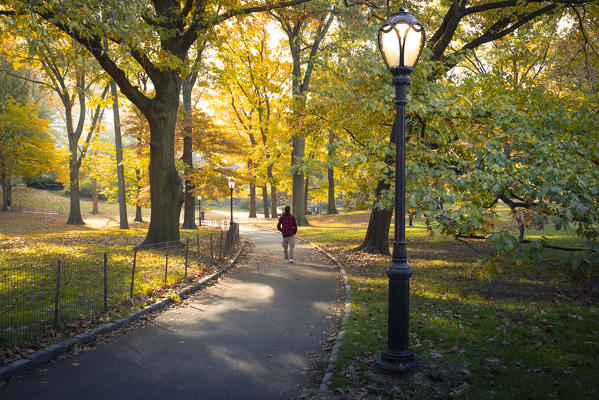 Central Park during autumn, Manhattan, New York, Usa