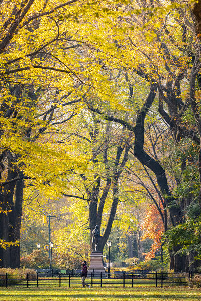 Central Park during autumn, Manhattan, New York, Usa  (MR)