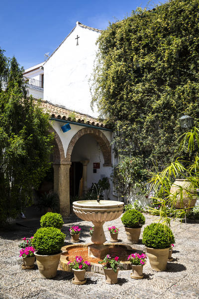 Interior of a patio in the city of Cordoba, Andalusia, Spain.