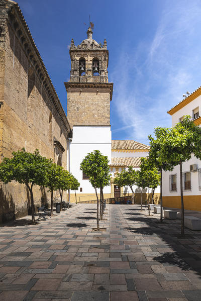 City of Cordoba, Andalusia, Spain.