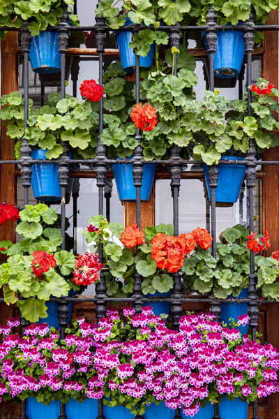 Interior of a patio in the city of Cordoba, Andalusia, Spain.